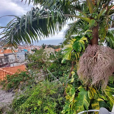 Casa Pico Musica Lägenhet Funchal (Madeira)
