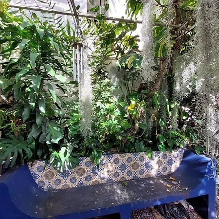 Lägenhet Casa Pico Musica