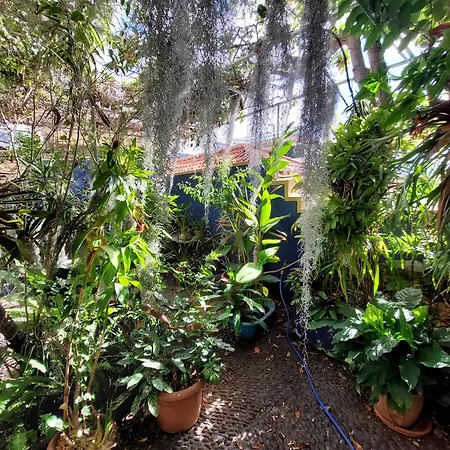 Casa Pico Musica Lägenhet *