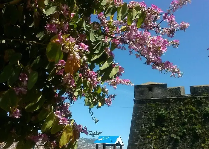 Casa Pico Musica Lejlighed