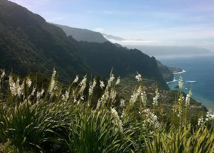 Lejlighed Casa Pico Musica *