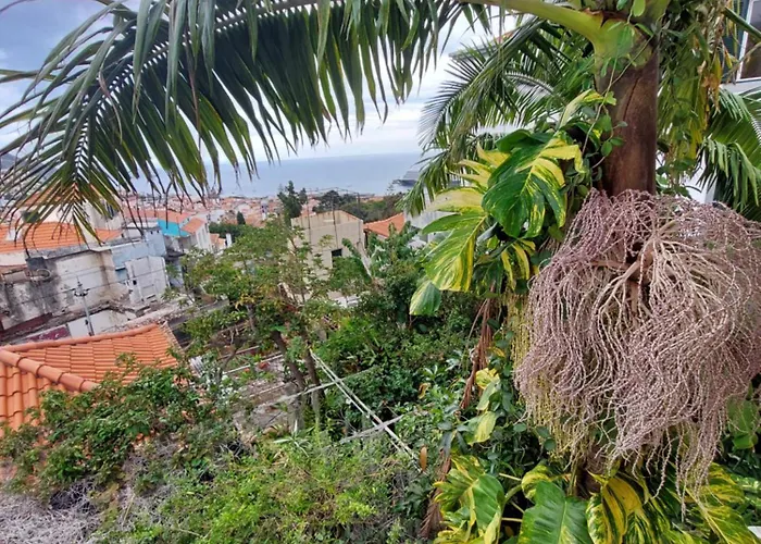 Casa Pico Musica Lejlighed Funchal (Madeira)