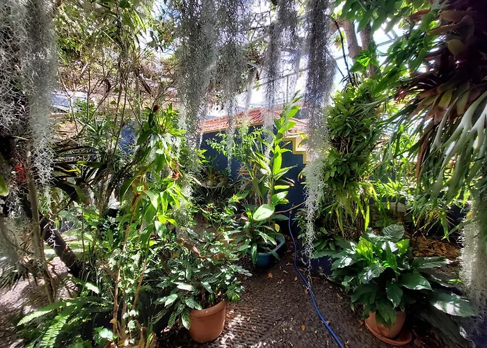 Casa Pico Musica Lejlighed *