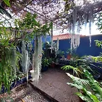 Lejlighed Casa Pico Musica Funchal (Madeira)