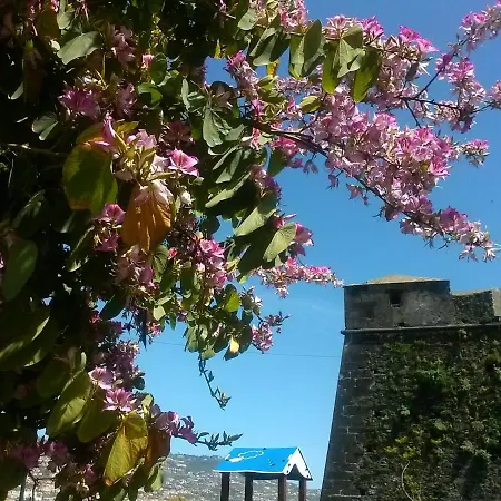 Casa Pico Musica Appartement