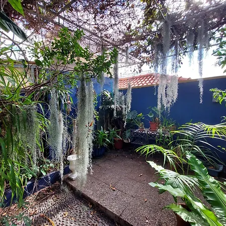公寓 Casa Pico Musica 丰沙尔