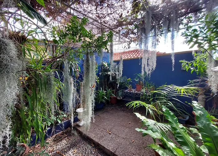 Apartment Casa Pico Musica Funchal (Madeira)